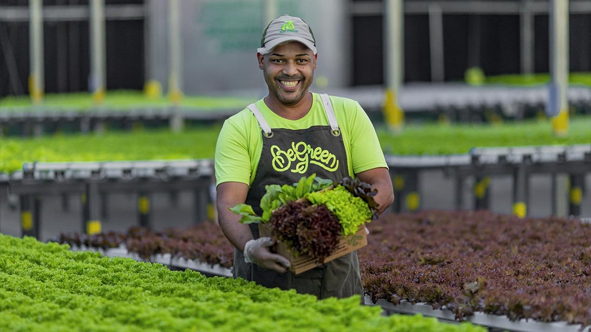 Pioneira na América Latina, BeGreen completa cinco anos de produção sustentável de alimentos