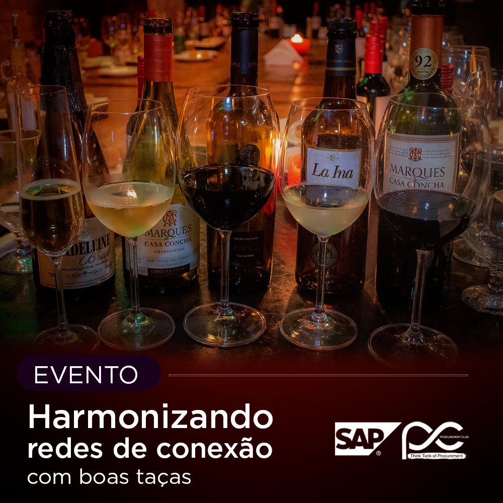 Harmonizando redes de conexão com boas taças – Silvia Simon