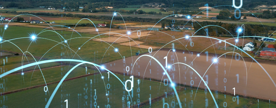 Inovação, sustentabilidade e transformação digital no agro