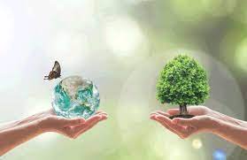 Os investidores já estão colocando o clima na conta. Agora é a vez da biodiversidade￼