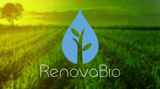 Brasil pode aproveitar modelo do Renovabio para expandir descarbonização