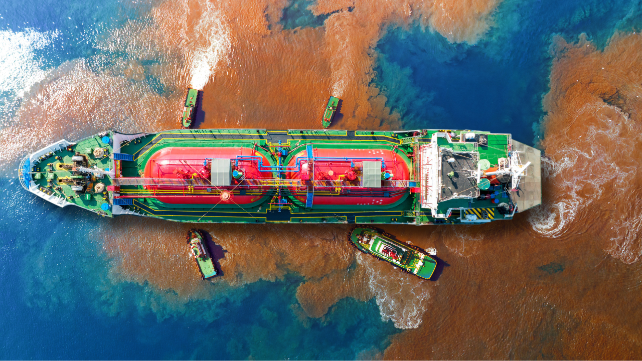 Projeto quer proteger mar paranaense da poluição por navios