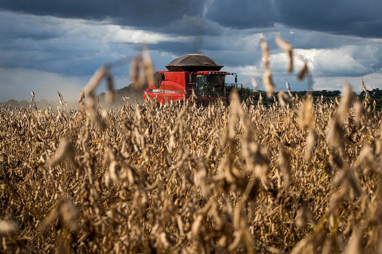 Exportações do agro brasileiro para América Latina disparam