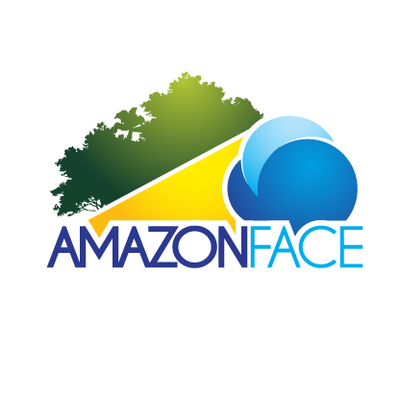AmazonFACE é principal projeto de cooperação científica entre Brasil e Reino Unido