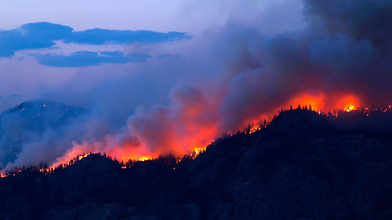 Fumaça de incêndios florestais pode prejudicar a logística nos EUA