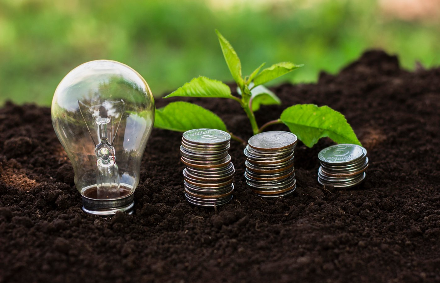 Mercado de carbono pode gerar US$ 120 bilhões para o Brasil até 2030