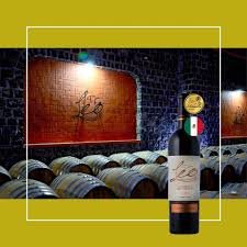 Vinhos Mexicanos