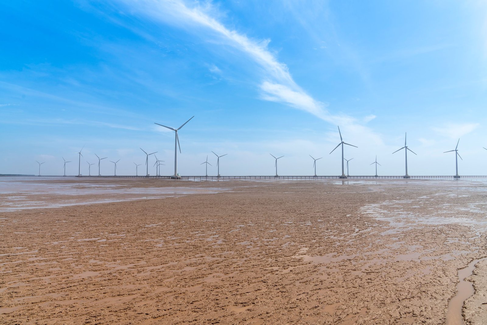 Brasil tem capacidade de gerar 3,6 mais energia com eólicas offshore