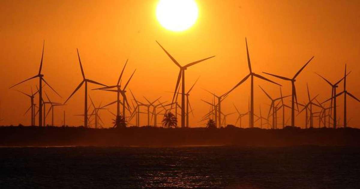 Empresária economiza mais de R$ 30 mil com energia sustentável