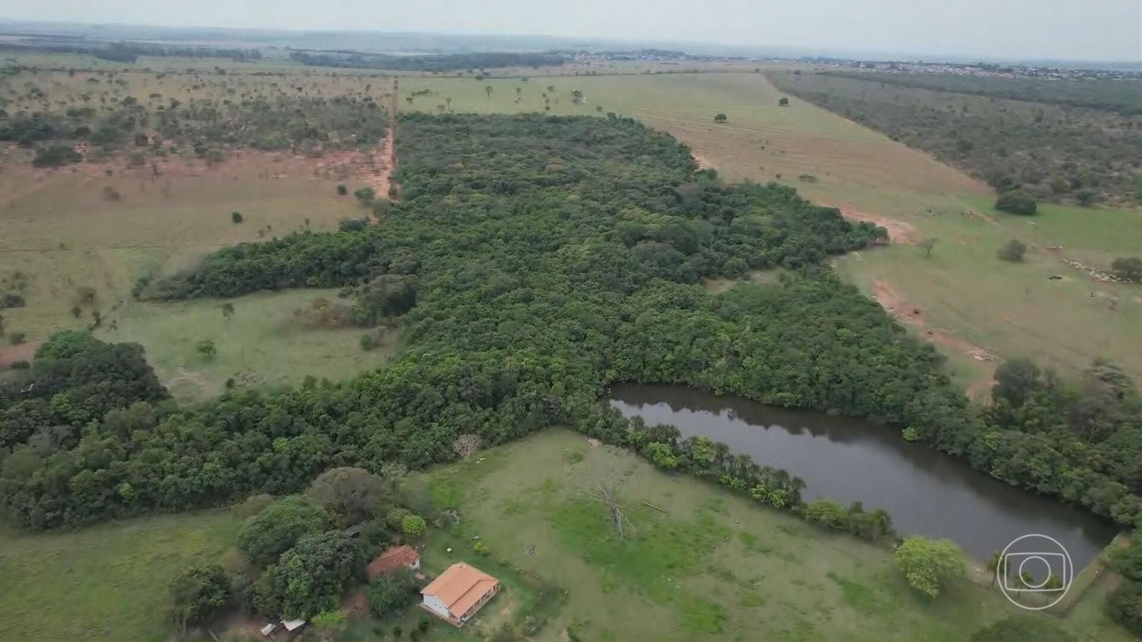Desmatamento no Cerrado