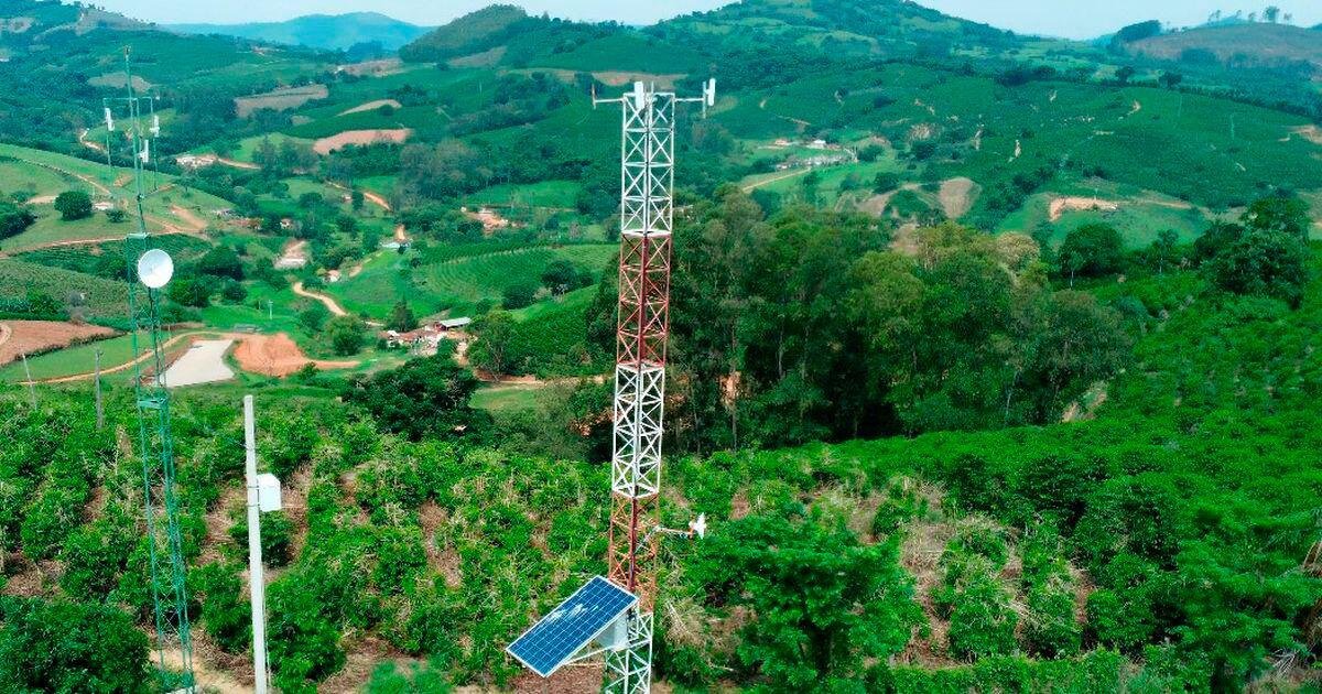 Mais de 70% dos agricultores usam meio digital para fazer suas compras
