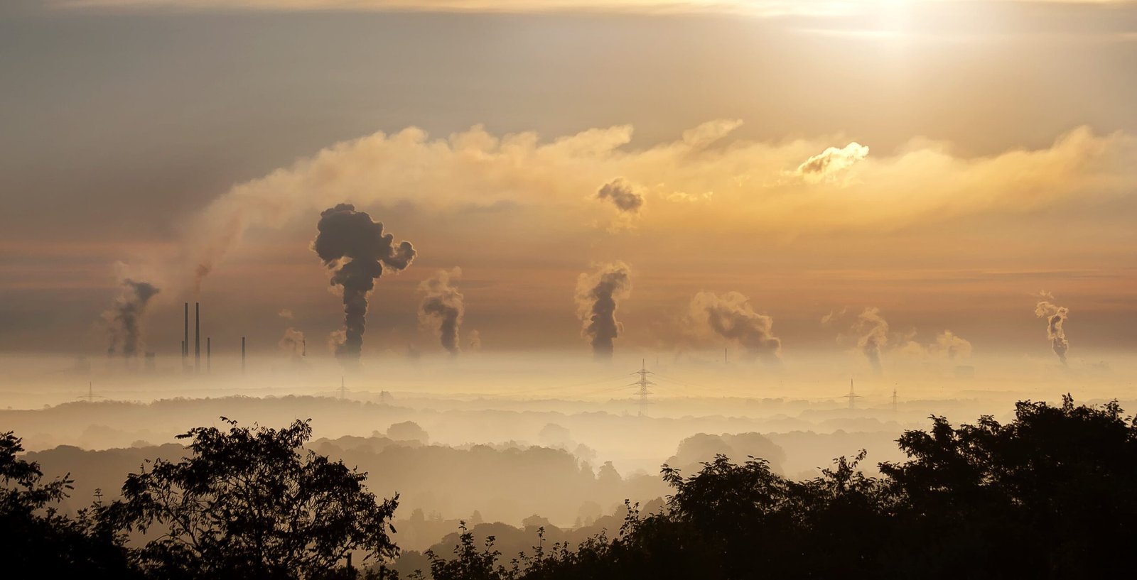 Câmara aprova projeto que regulamenta o mercado de carbono no Brasil