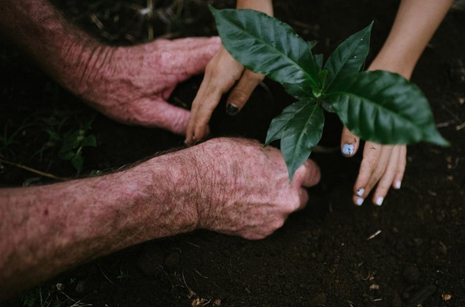 ESG: o investimento que será tendência em 2024