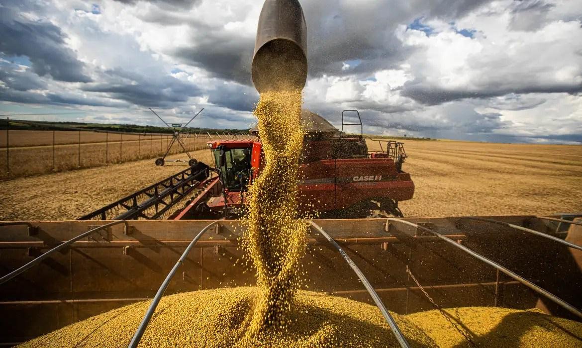 Veja os riscos que o agronegócio brasileiro pode enfrentar