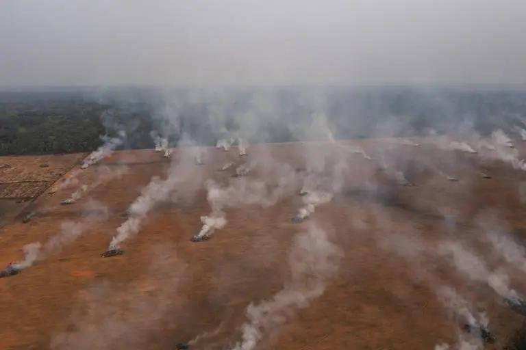 Matriz energética, sequestro de carbono, emissões