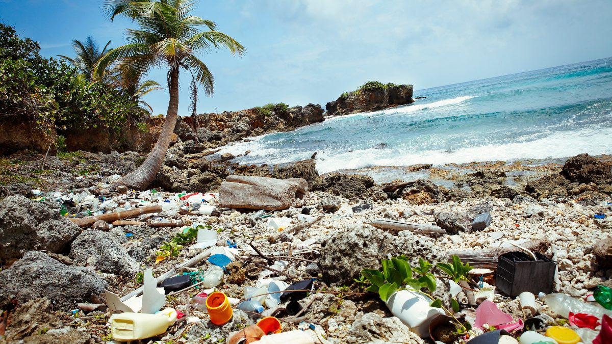10 resíduos mais encontrados nas praias, rios e mangues do Brasil