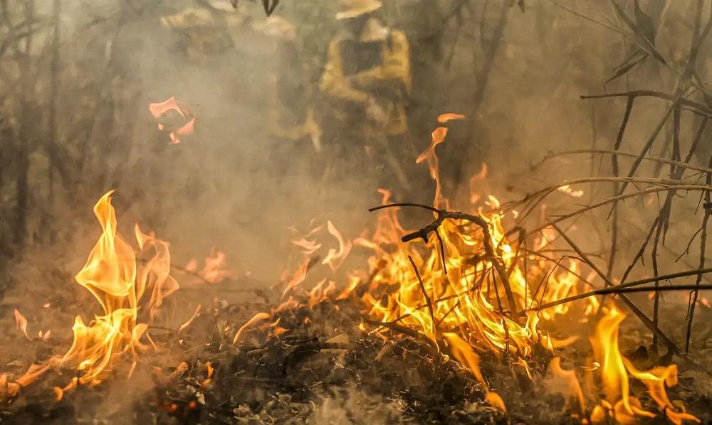 Por que os incêndios florestais no Brasil estão batendo recordes?