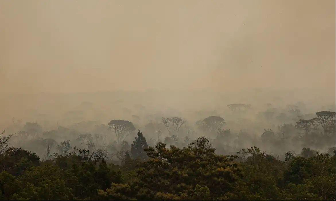 Meio Ambiente em alerta